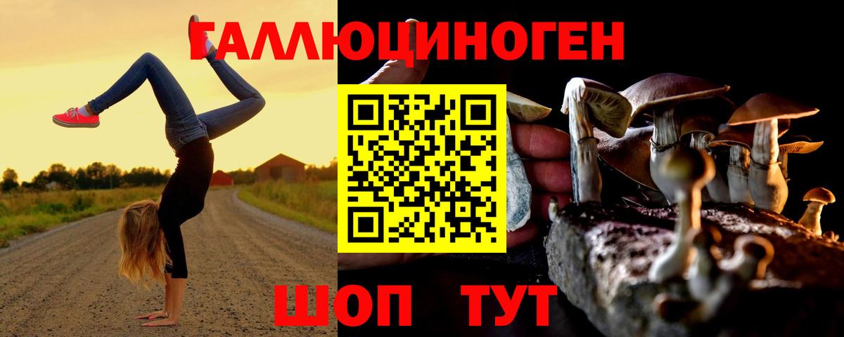 Галлюциногенные грибы GOLDEN TEACHER Комсомольск-на-Амуре